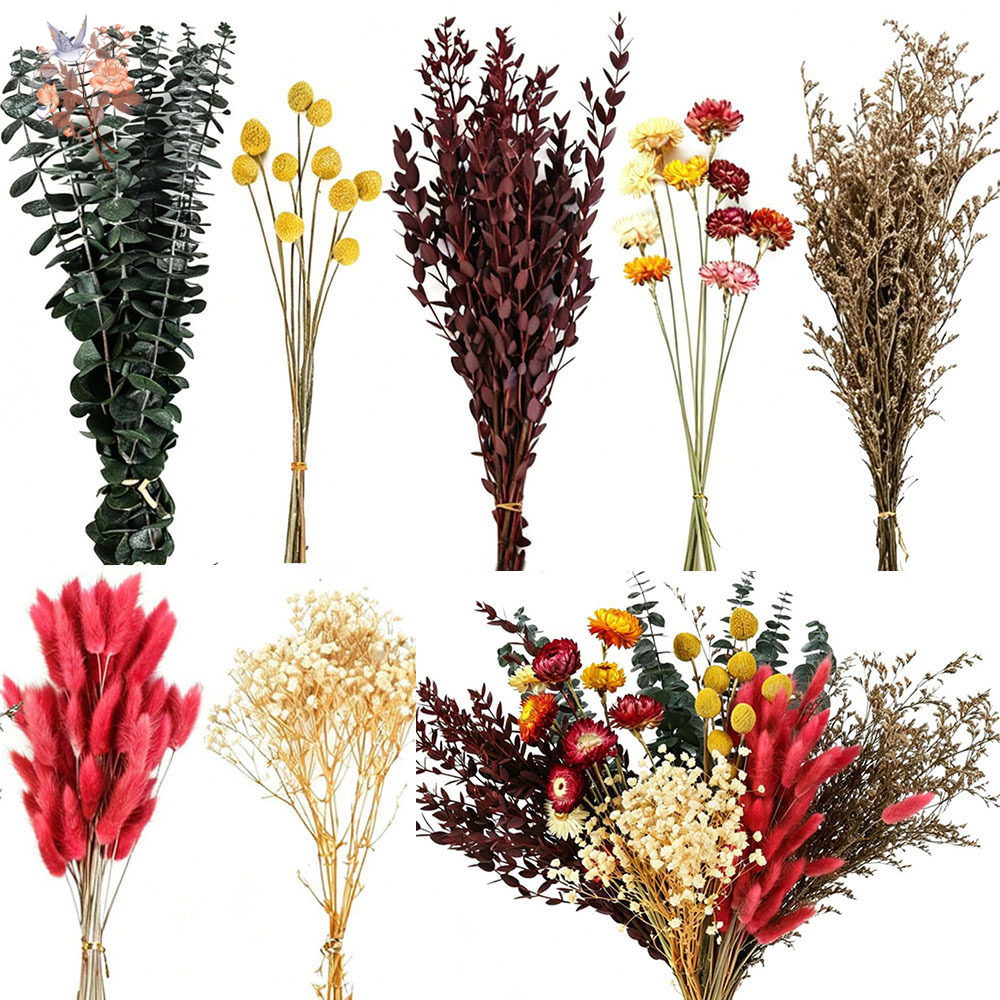 Florist Flower Supply - ชุดดอกไม้แห้งแบบขายส่ง 7 ชนิด ใบยูคาลิปตัสธรรมชาติ ช่อดอกไม้หลากสี สำหรับงานแต่งงาน
