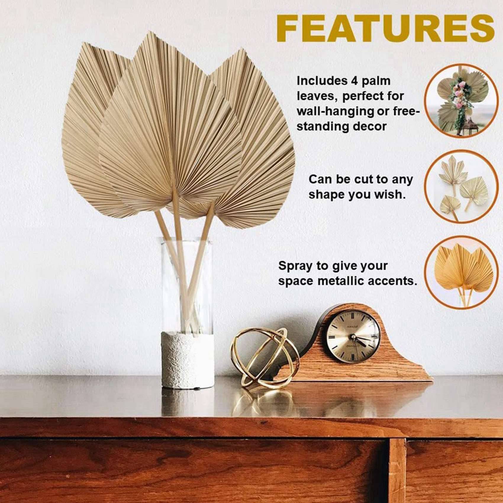 Palm Leaf Dried - AT02-ใบปาล์มแห้งธรรมชาติ 8 ชิ้น เหมาะสำหรับตกแต่งด้วยใบปาล์ม, ตกแต่งสไตล์โบโฮ, ตกแต่งบ้าน,