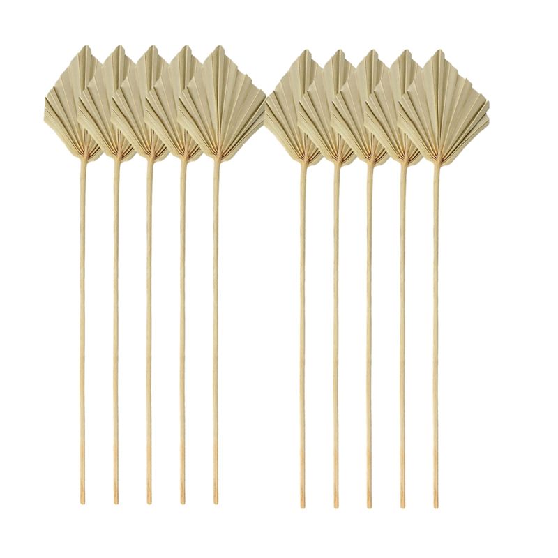 Palm Leaf Dried - A04G-โบโฮ ใบปาล์มแห้งขนาดเล็ก ใบปาล์มแห้งธรรมชาติ สำหรับตกแต่ง