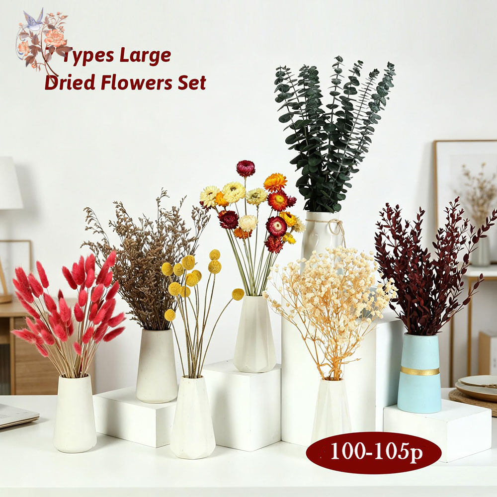 ชุดดอกไม้แห้งแบบขายส่ง 7 ชนิด  - Florist Flower Supply บทวิจารณ์และราคา
