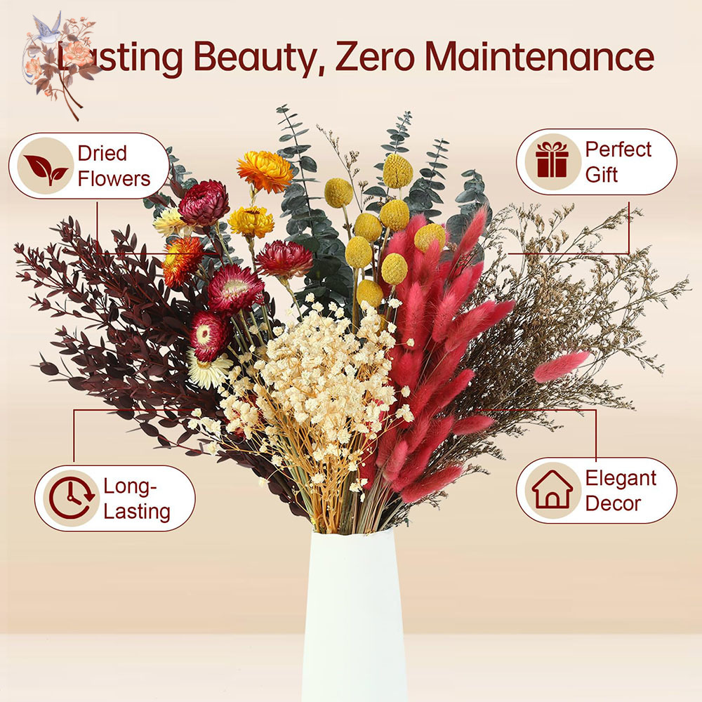 ชุดดอกไม้แห้งแบบขายส่ง 7 ชนิด  - Florist Flower Supply บทวิจารณ์และราคา