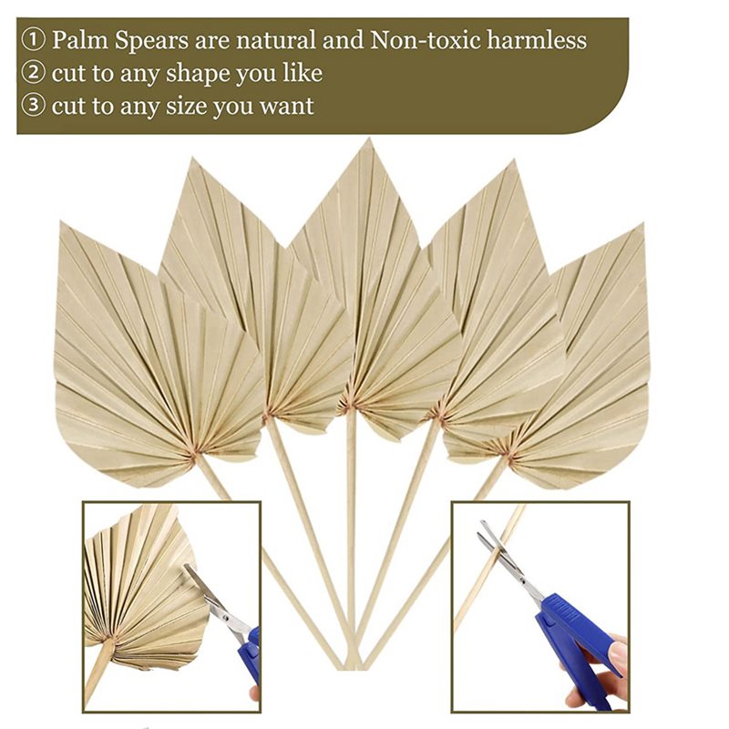 ใบปาล์มแห้งสไตล์โบโฮ 80 ชิ้น,  - Palm Leaf Dried บทวิจารณ์และราคา