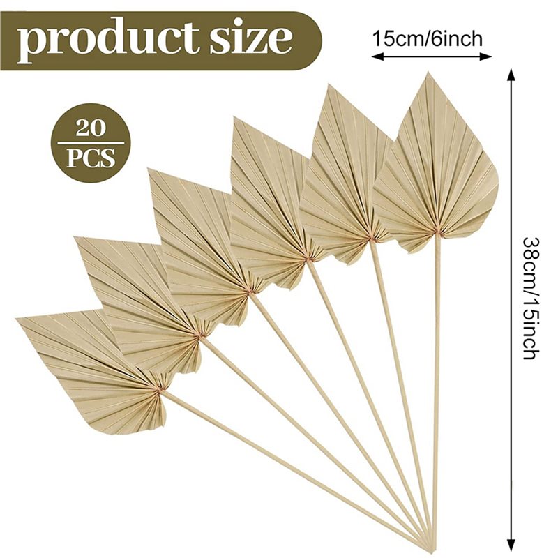 ใบปาล์มแห้งสไตล์โบโฮ 80 ชิ้น,  - Palm Leaf Dried บทวิจารณ์และราคา
