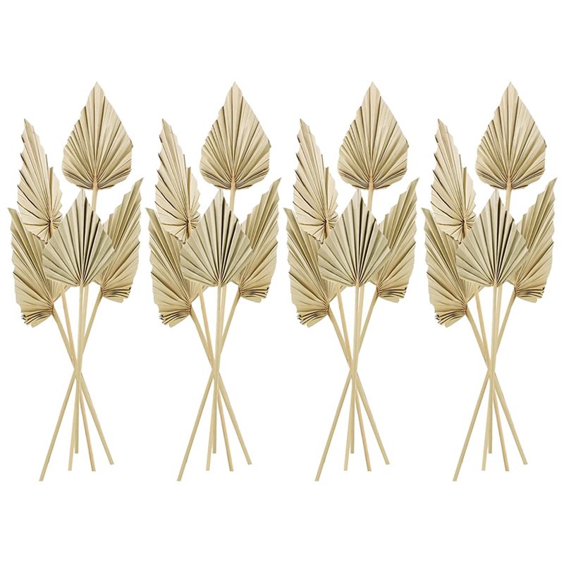 ใบปาล์มแห้งสไตล์โบโฮ 80 ชิ้น,  - Palm Leaf Dried บทวิจารณ์และราคา