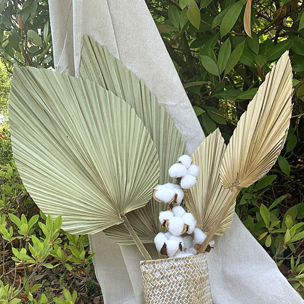 1 ชิ้น ใบปาล์มแห้งธรรมชาติสีเข - Palm Leaf Dried บทวิจารณ์และราคา