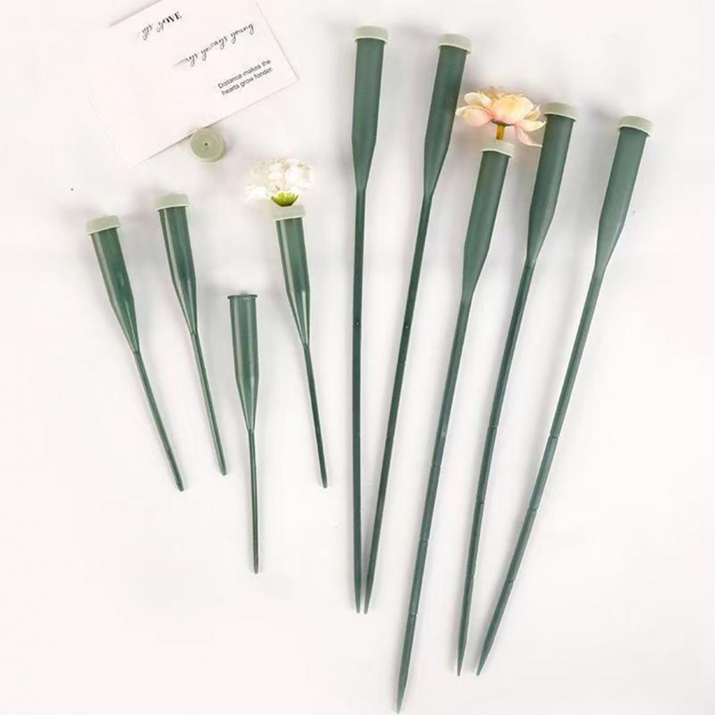 หลอดดอกไม้ขนาด 6 นิ้ว/12 นิ้ว  - Florist Flower Supply บทวิจารณ์และราคา