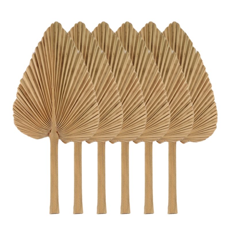 ใบปาล์มแห้ง AT84-6PCS ใบปาล์มธ - Palm Leaf Dried บทวิจารณ์และราคา
