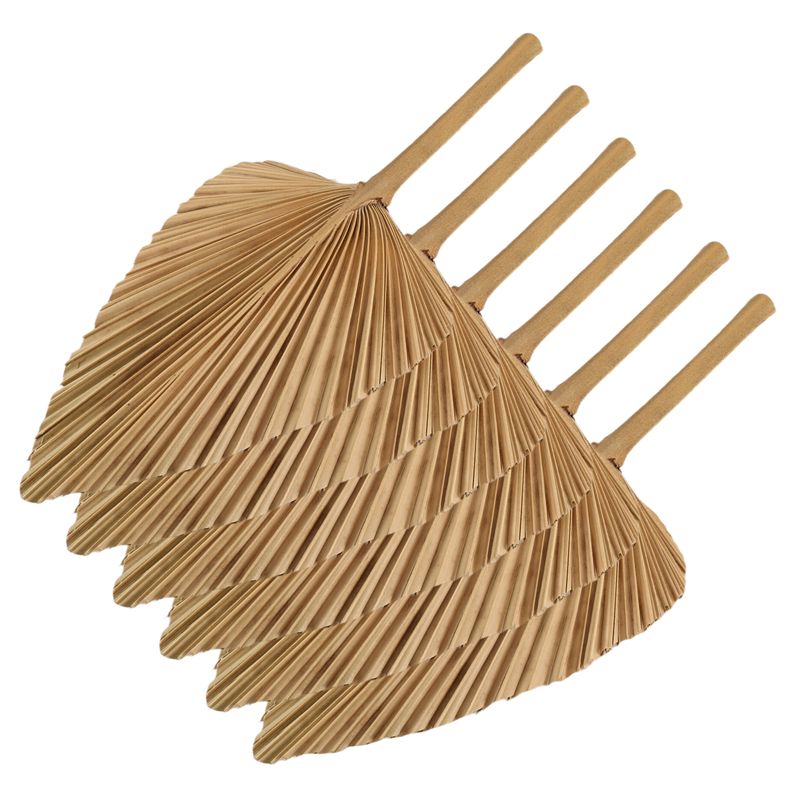 ใบปาล์มแห้ง AT84-6PCS ใบปาล์มธ - Palm Leaf Dried บทวิจารณ์และราคา