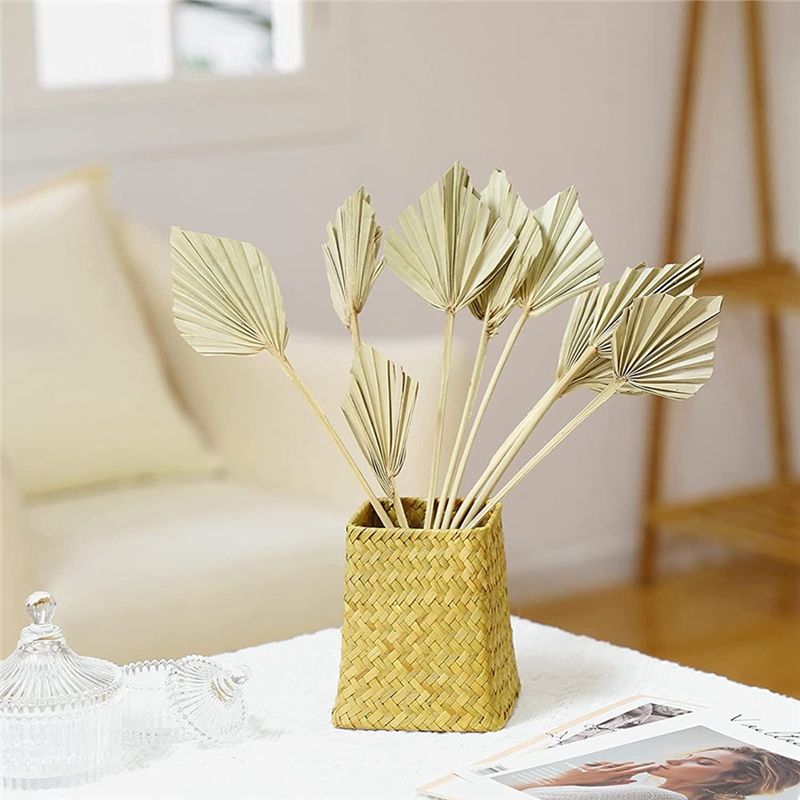 ใบปาล์มแห้งแบบโบโฮ AS60-30 ชิ้ - Palm Leaf Dried บทวิจารณ์และราคา