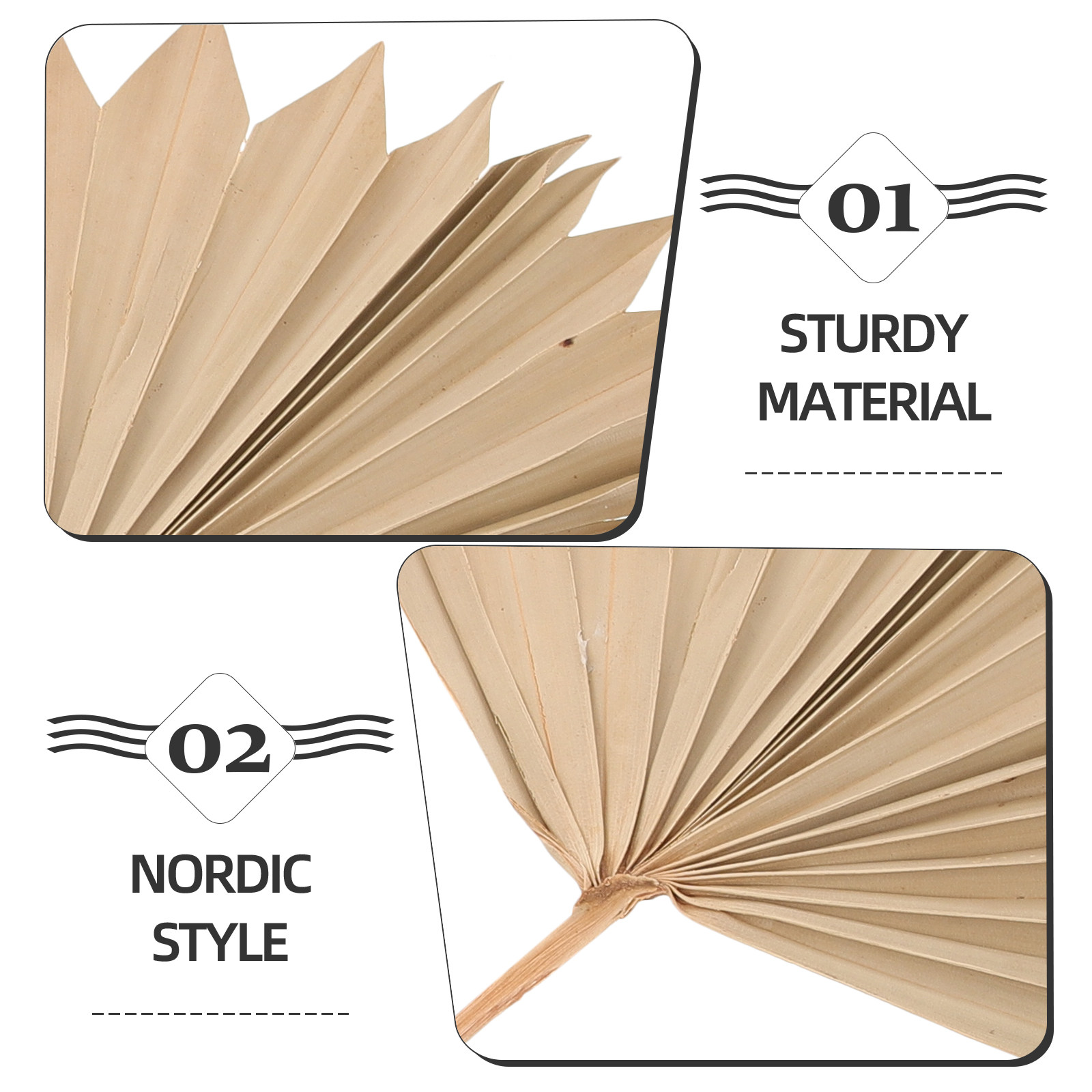 4 ชิ้น ใบปาล์มแห้ง ของตกแต่งใบ - Palm Leaf Dried บทวิจารณ์และราคา