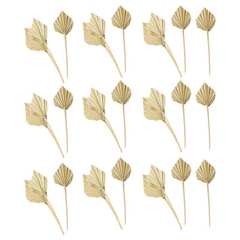 A36T-30 ชิ้น ใบปาล์มแห้งสไตล์โ - Palm Leaf Dried บทวิจารณ์และราคา