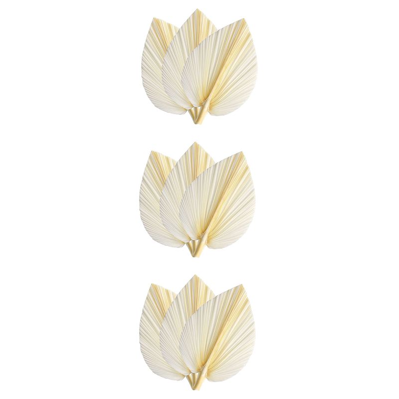 ใบปาล์มแห้งสีขาวขนาดใหญ่ - คุณ - Palm Leaf Dried บทวิจารณ์และราคา
