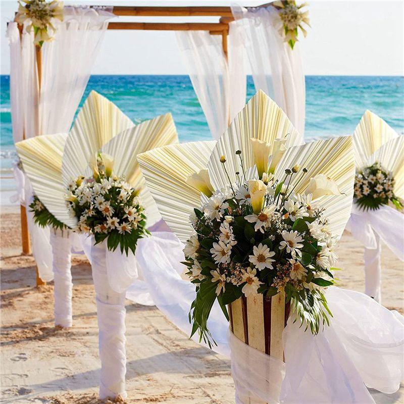 ใบปาล์มแห้งสีขาวขนาดใหญ่ - คุณ - Palm Leaf Dried บทวิจารณ์และราคา